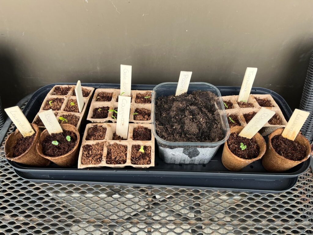 It's growing fast!