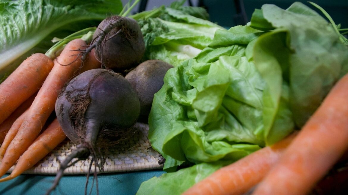 Toxic forever chemicals found in garden products raise concerns