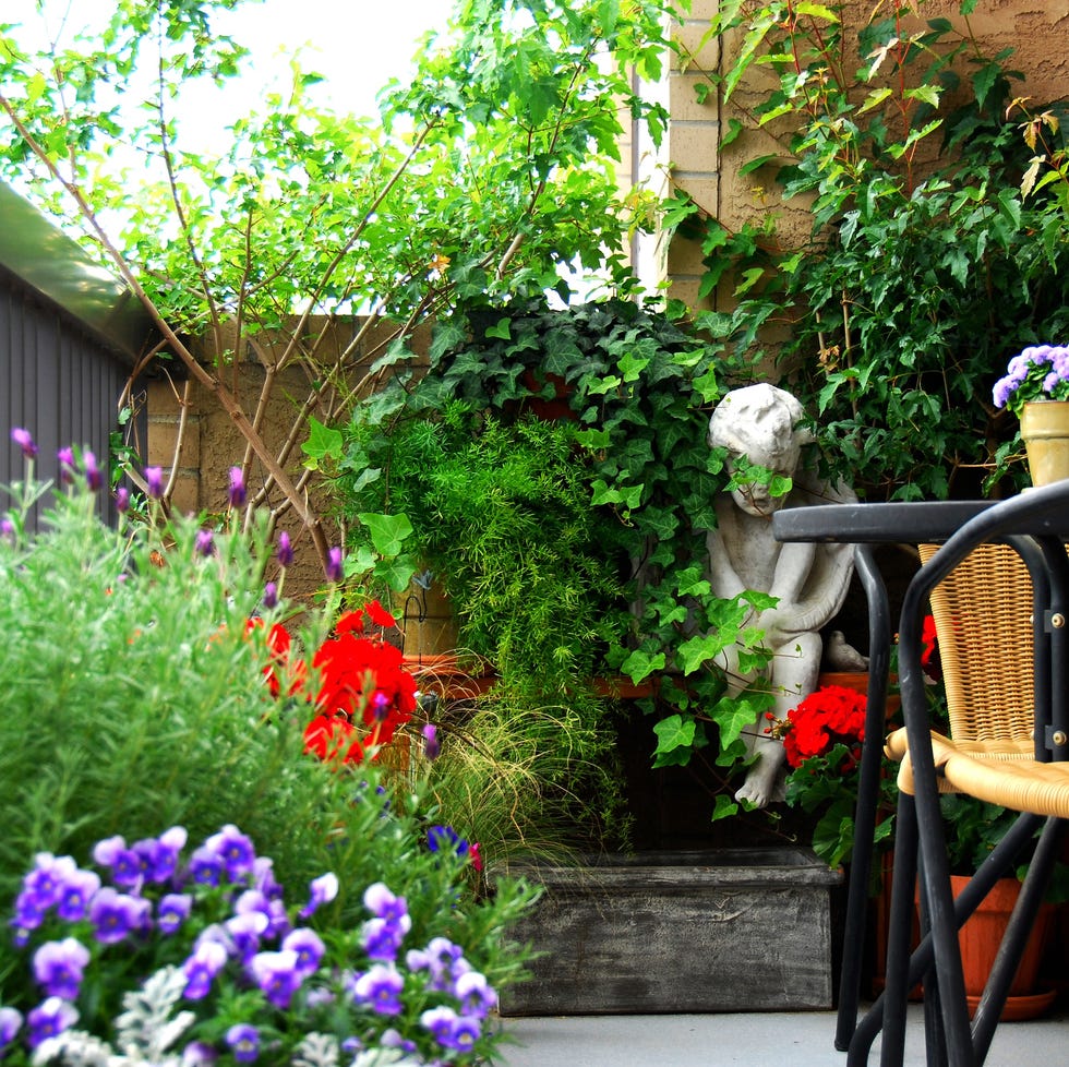 Balcony garden this is a container garden on the balcony of an urban highrise apartment building.