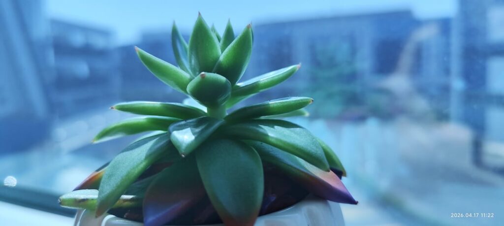 Strange growing