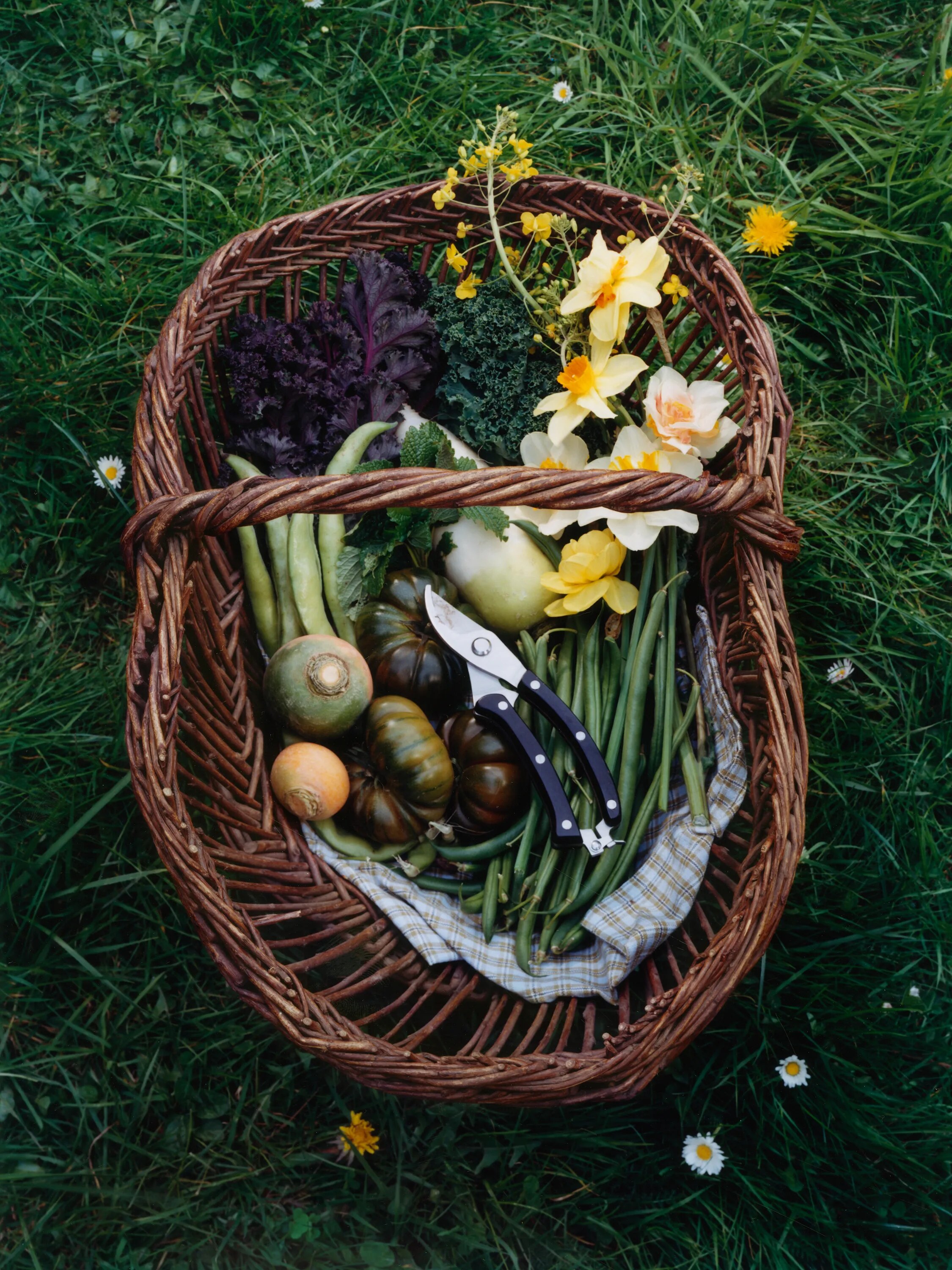 Zara Home gardening snips in a basket of vegetables 