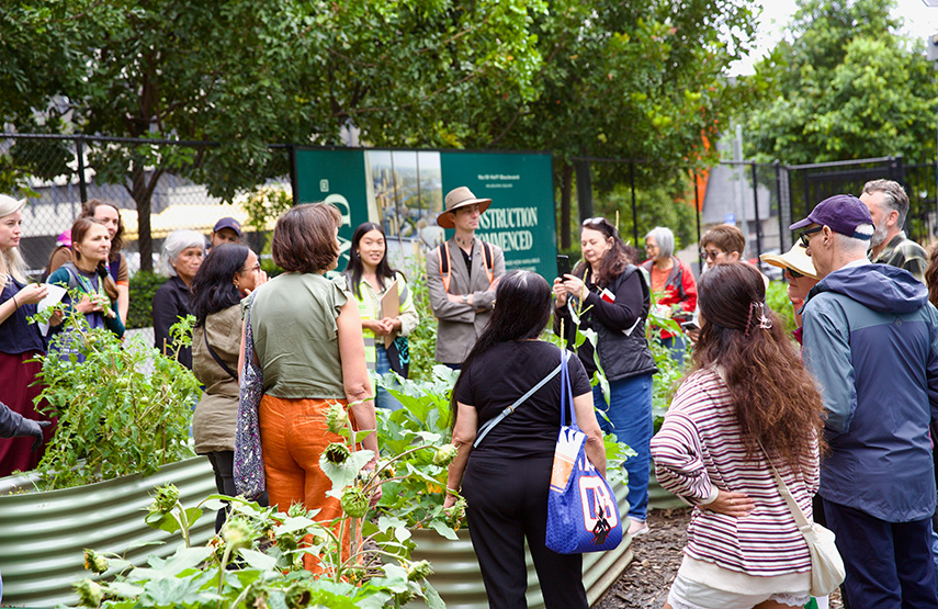Biodiversity conservation and community gardening at Southbank Biodiversity conservation and community gardening at Southbank