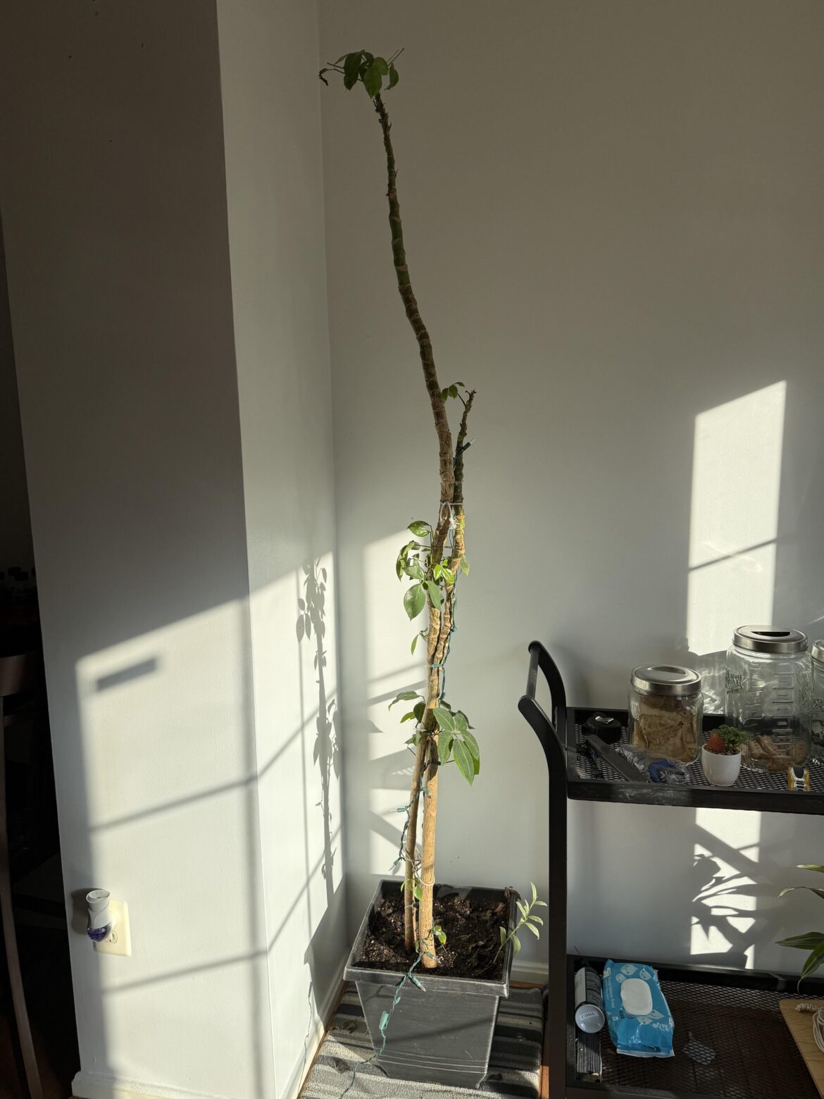 Is This Normal?