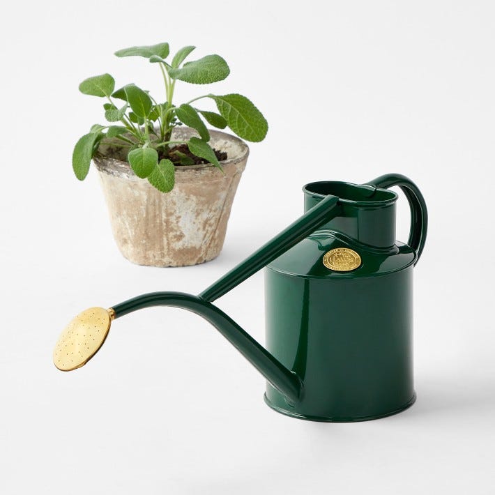 Rowley Ripple 2-Pint Watering Can