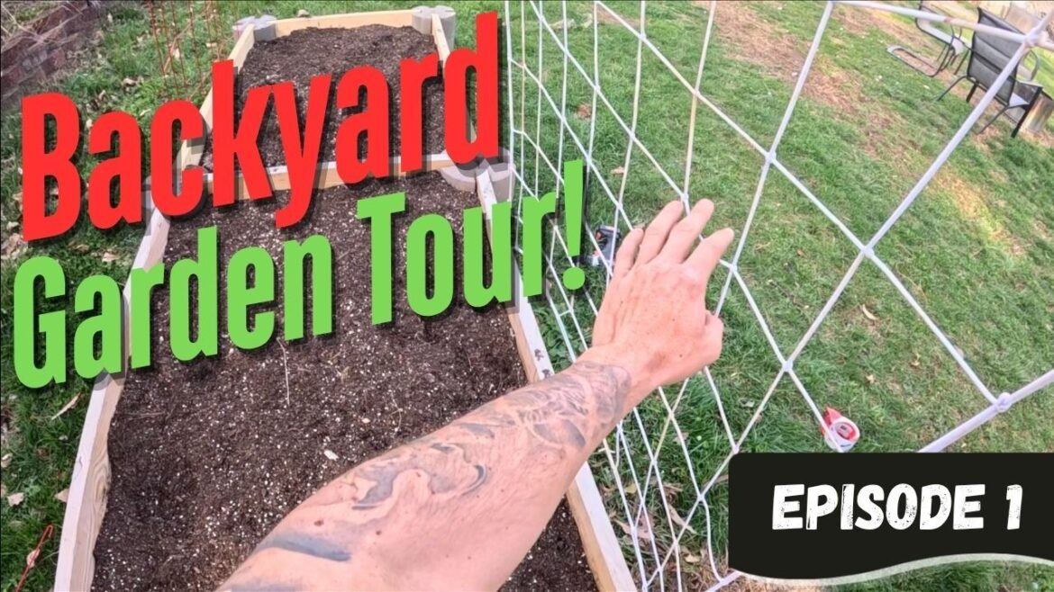 Backyard Garden Tour | Raised Beds, Chickens, Compost & Seed Starting | Ep. 1