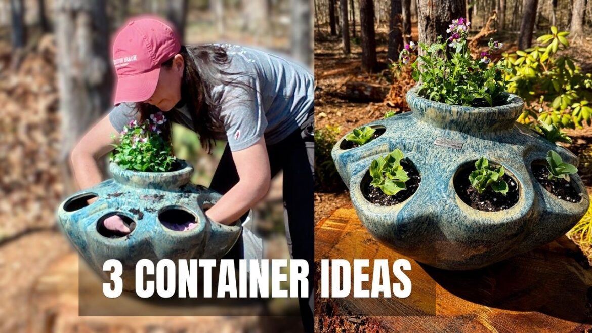 3 Containers I’m Planting in My Garden Right Now 3 Containers I’m Planting in My Garden Right Now