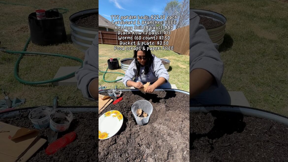 Cost effective way to set up garden beds! #backyardgardening #raisedgardenbeds #gardening #zone8a