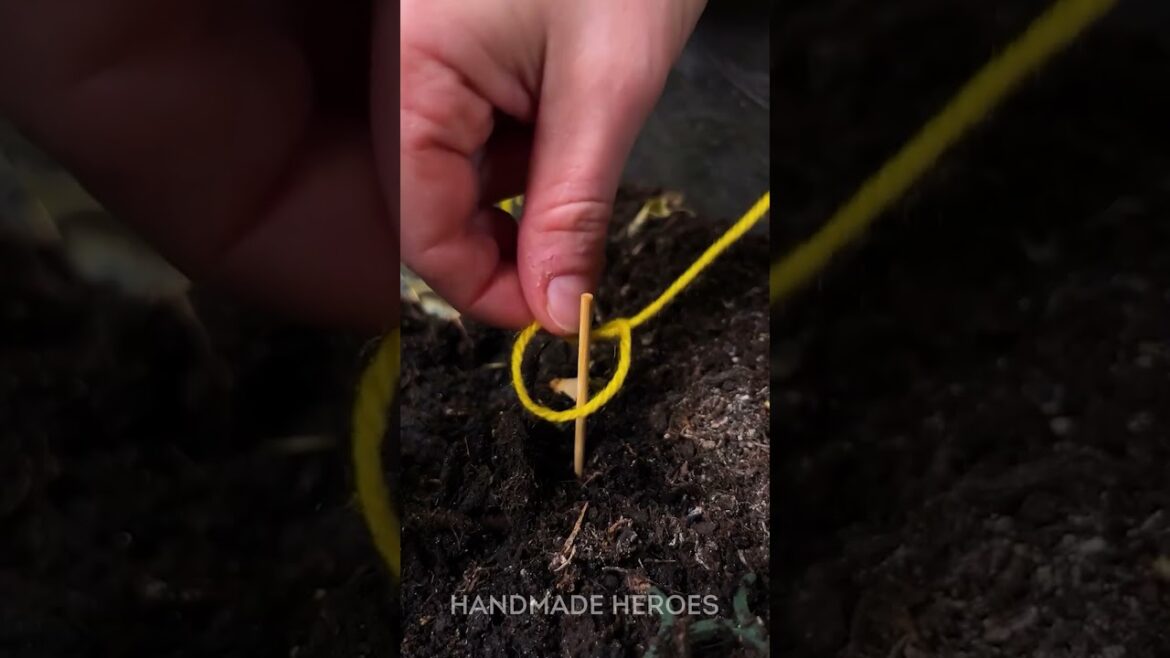 Make a Self-Watering System for Plants with a Plastic Bottle 🌱♻️