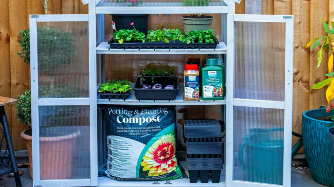 Gardeners race to buy ‘little gem’ grow house ‘ideal for compact gardens’ now £52 off Wales Online