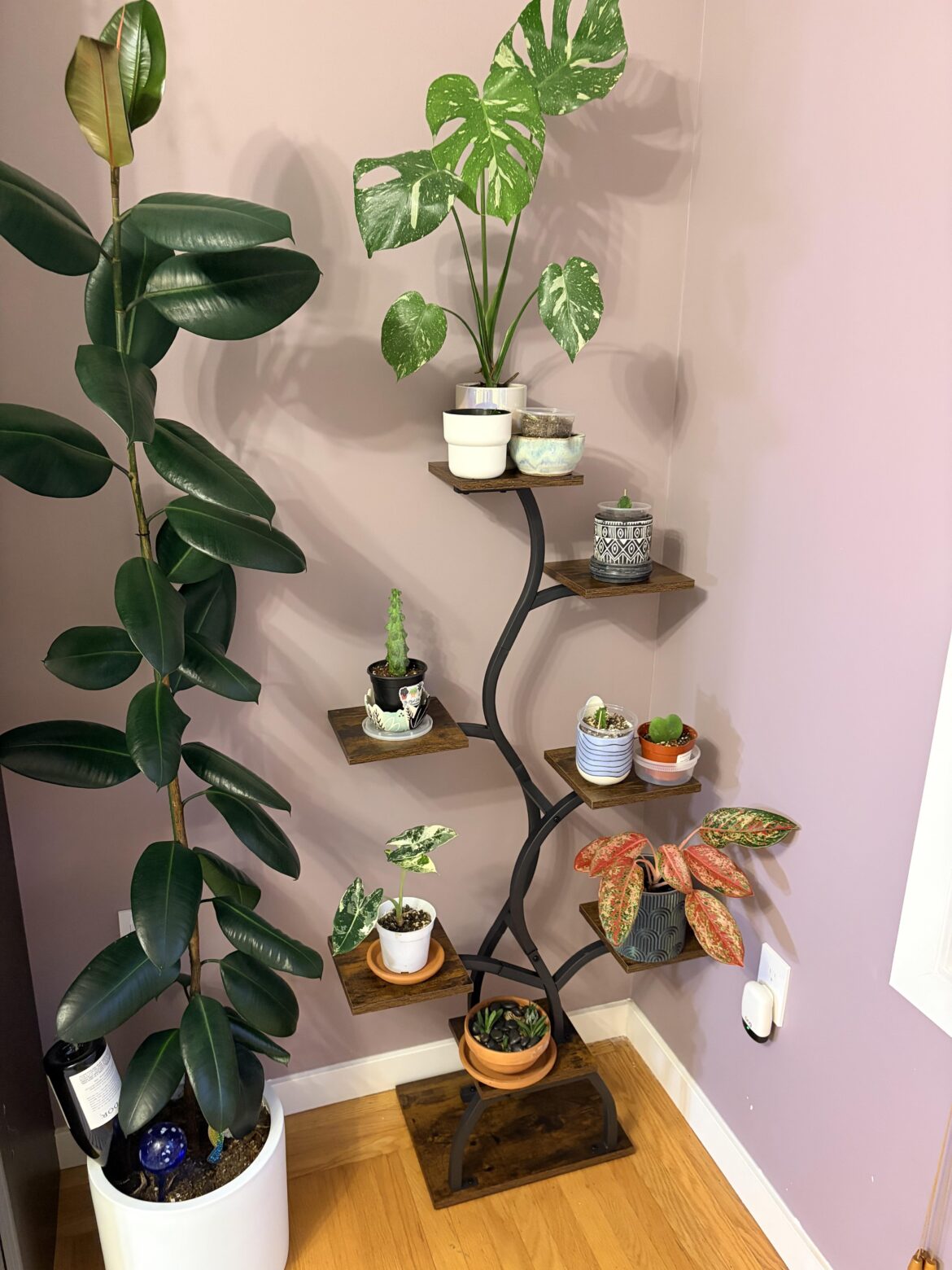 Very excited for my new shelf