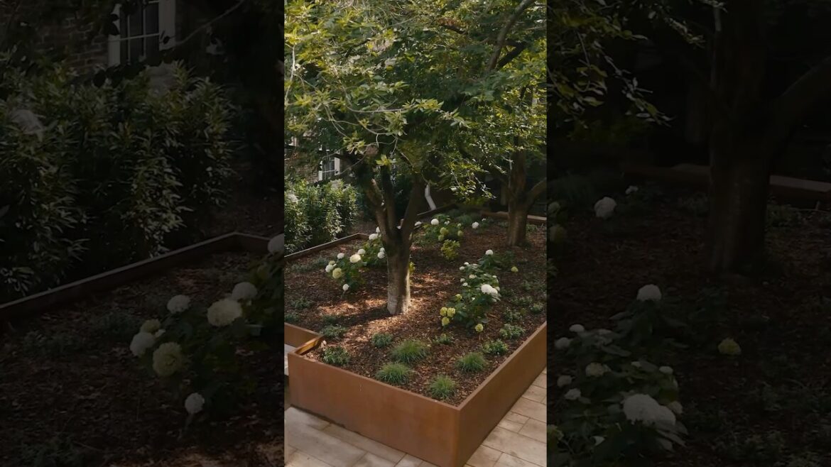 Community Courtyard FINAL REVEAL! #shorts Community Courtyard FINAL REVEAL! #shorts
