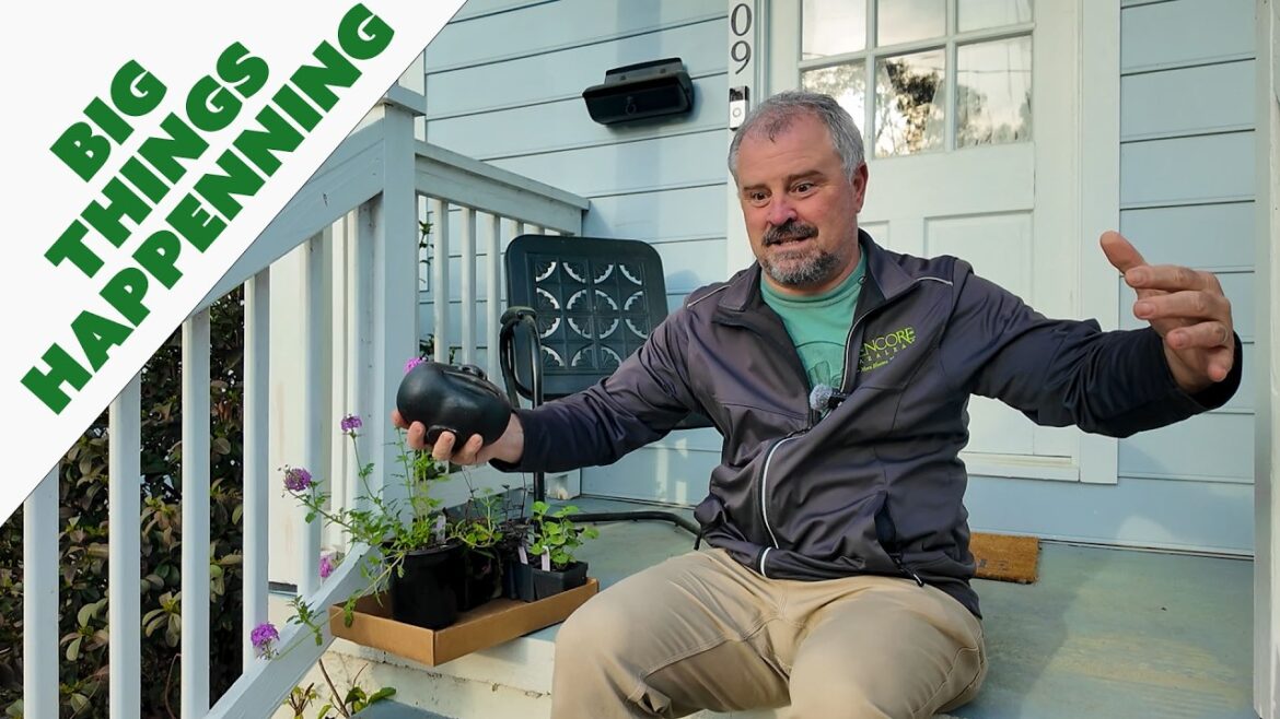 Jim's Weekly Garden Plan - Puppies, Pruning, and Putnam Hill