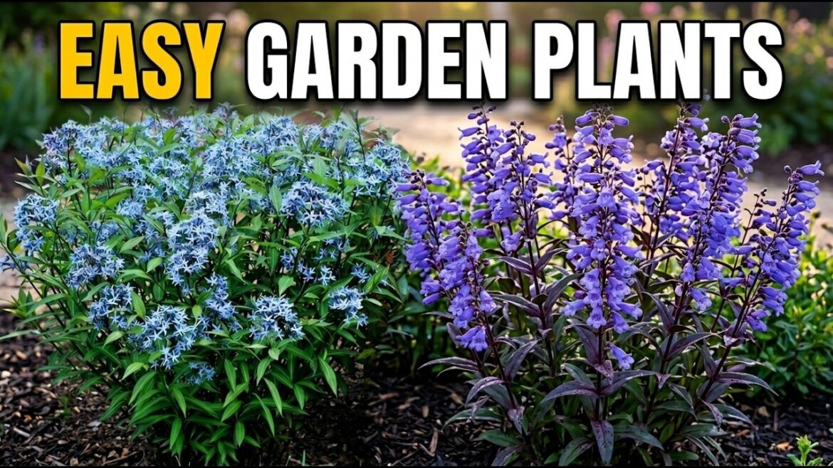 2026 Plant Preview: 7 Toughest New Perennials (Zero Effort Required) π± 2026 Plant Preview: 7 Toughest New Perennials (Zero Effort Required) π±