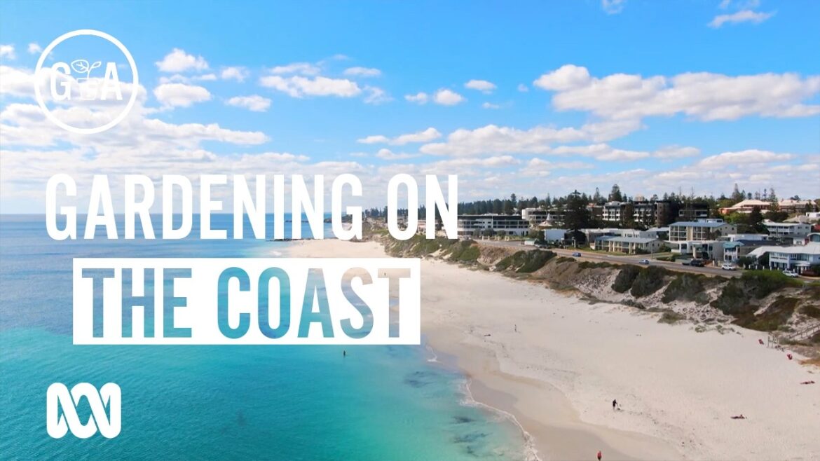 A Garden Designed for the Coast | Garden Design and Inspiration | Gardening Australia