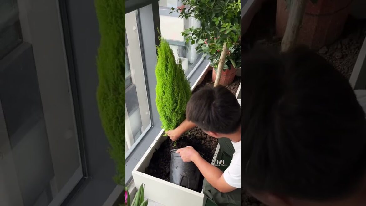 Don’t clutter your balcony, do this instead #SpaceDesign #gardendesign #garden #plants Don't clutter your balcony, do this instead #SpaceDesign #gardendesign #garden #plants