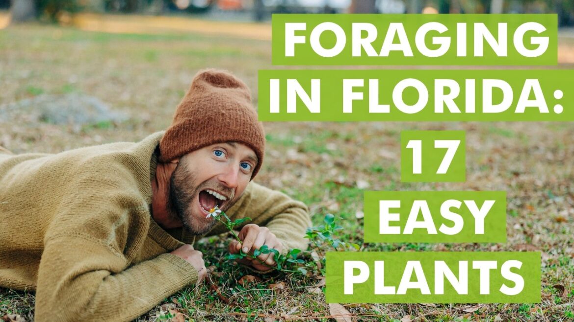 Foraging in Florida: Easy Edible Plants for Beginner Foragers