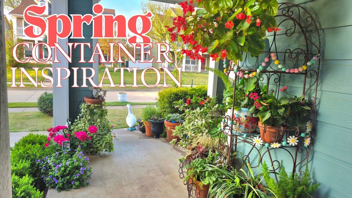 Spring Container Inspiration!! March '26 Container Garden Tour! PLUS My FAVORITE Container Ever!