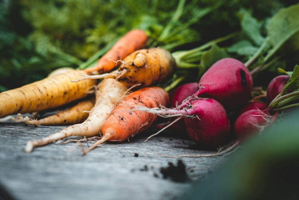 “What Should I Grow to Save Money?” Gardeners Are Sharing What’s Actually Worth Planting This Year Lovely Garden Roots