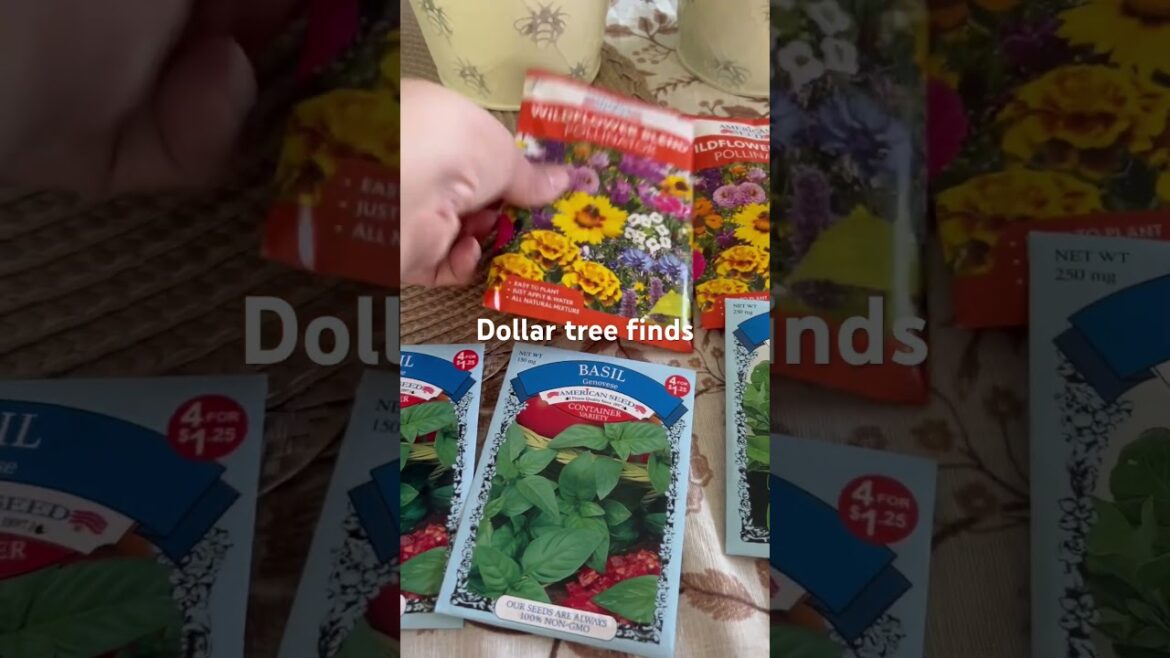 #dollartreehaul #gardening #supplies