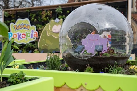 Pokémon Pokopia Garden