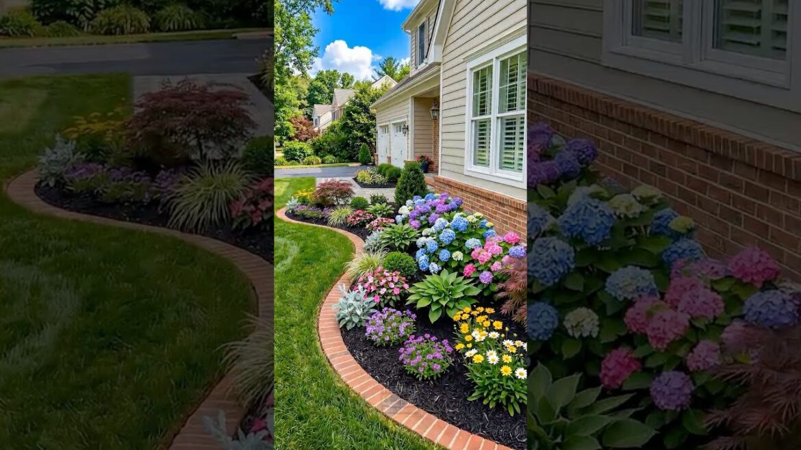 Lawn Upgraded Into a Beautiful Foundation Garden 🌸🏡 #shorts