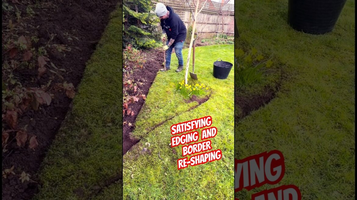 SATISFYING edging and border shaping#garden #youtubeshorts #spring #edging