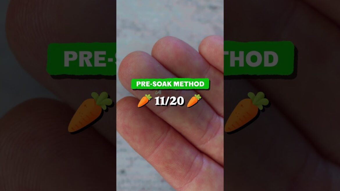 I tested every carrot germination trick...