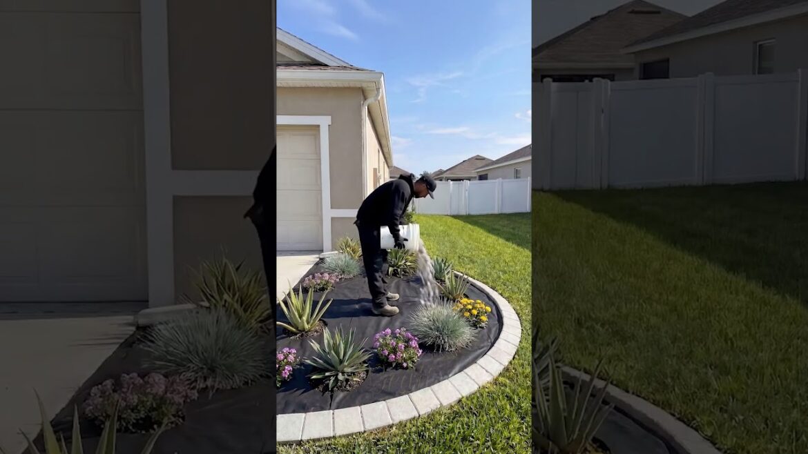 How a Simple Yard Upgrade Boosts Property Value Fast
