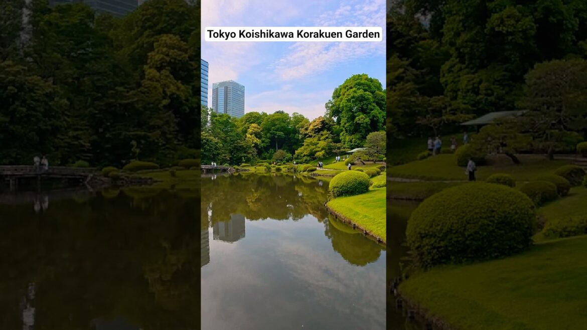 Tokyo Koishikawa Korakuen Garden #japanesegarden #travel #japanvlog  #tokyo
