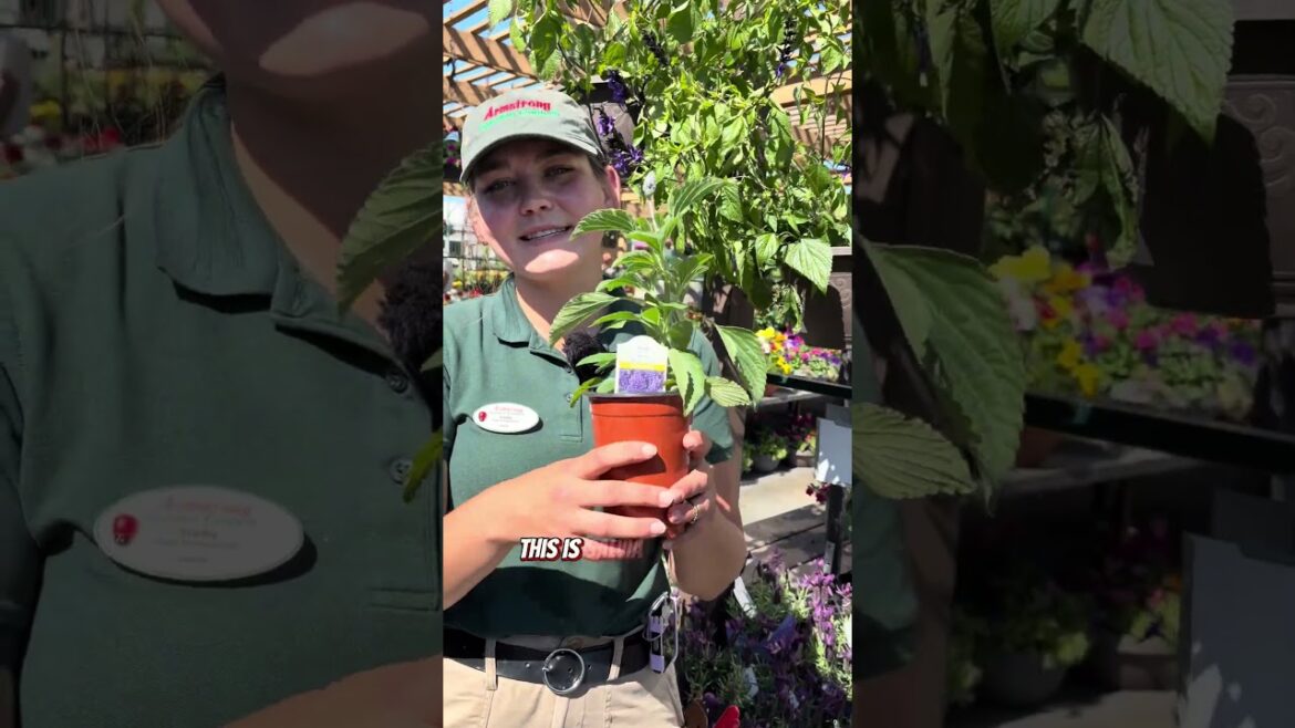 Your Apartment Garden Is Missing This Hummingbird Magnet #gardening #diy