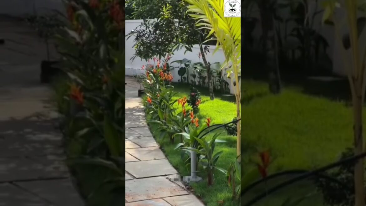 Kolkata’s Best Garden Design & Maintenance Service 🌿Professional Landscaping Service in Kolkata | Kolkata’s Best Garden Design & Maintenance Service 🌿Professional Landscaping Service in Kolkata |