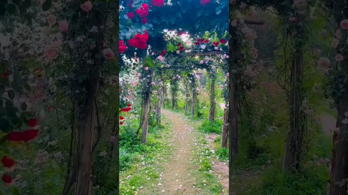 Cozy Backyard Decor That Feels Peaceful 😍 #backyard #garden #peace #shortvideo #virshort