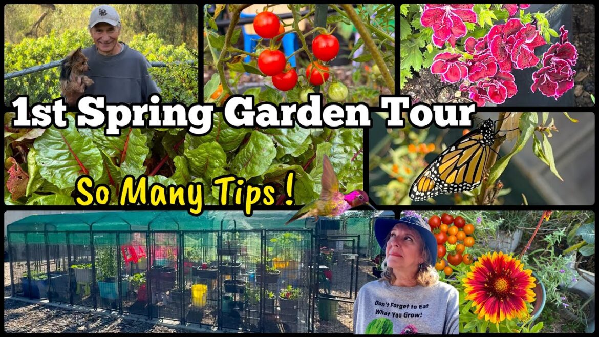 Spring Garden Tour Growing TIPS for Growing Vegetables Container Gardening Tomatoes Peppers Herbs Spring Garden Tour Growing TIPS for Growing Vegetables Container Gardening Tomatoes Peppers Herbs