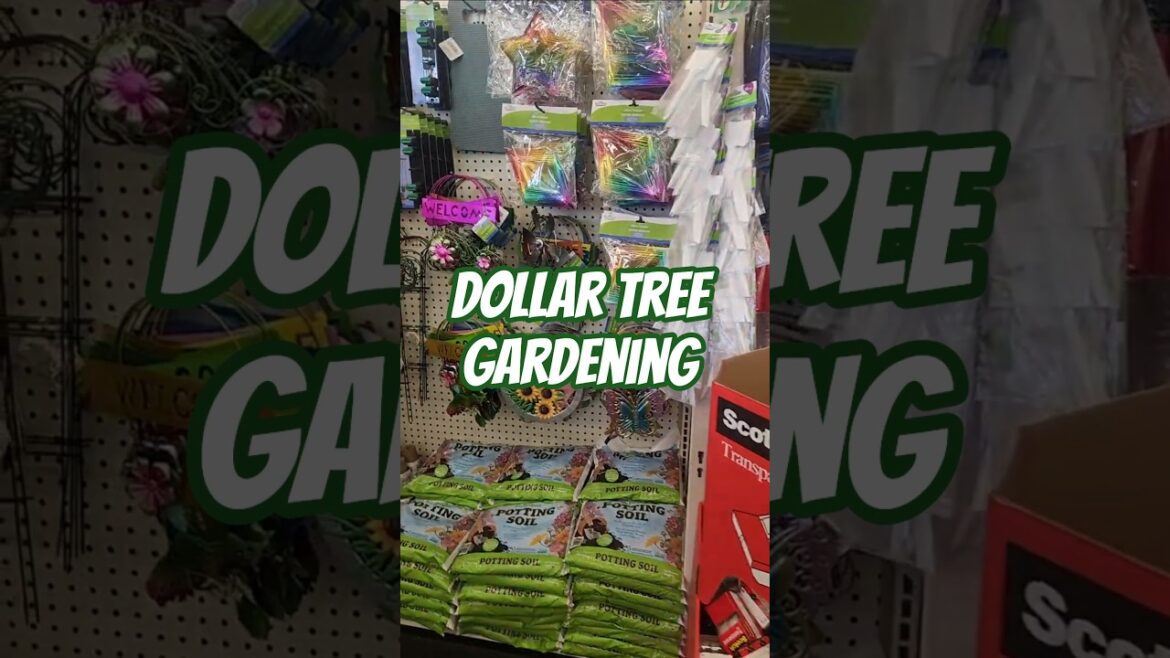 Dollar Tree gardening supplies #gardening