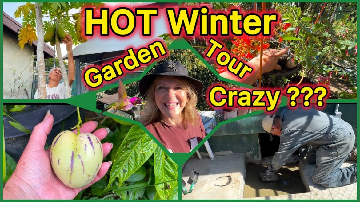 Garden Tour Tons of Growing TIPS Container Gardening, Tote Garden Raised bed Garden with Nature Garden Tour Tons of Growing TIPS Container Gardening, Tote Garden Raised bed Garden with Nature