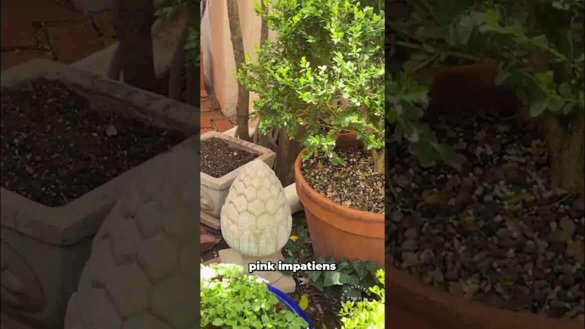 Garden Design Secrets You’re Yard’s Transformation Awaits! #gardening #garden Garden Design Secrets You're Yard's Transformation Awaits! #gardening #garden