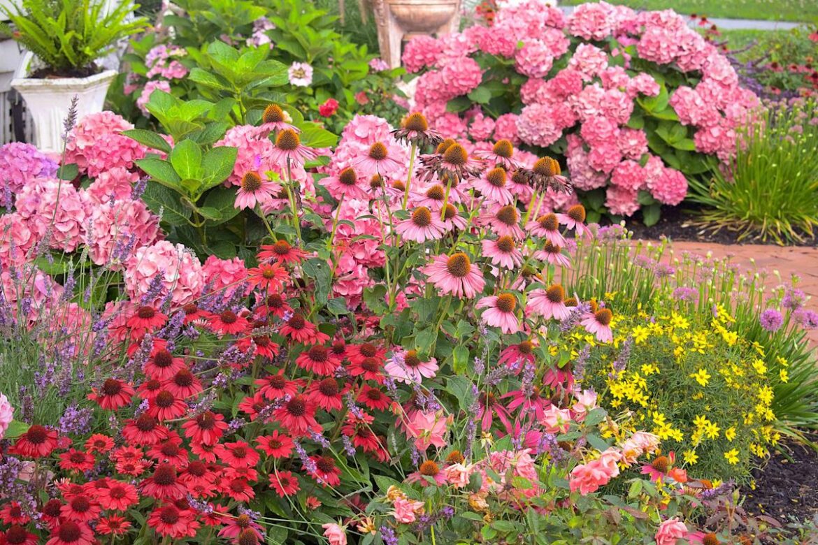 Better Homes & Gardens
