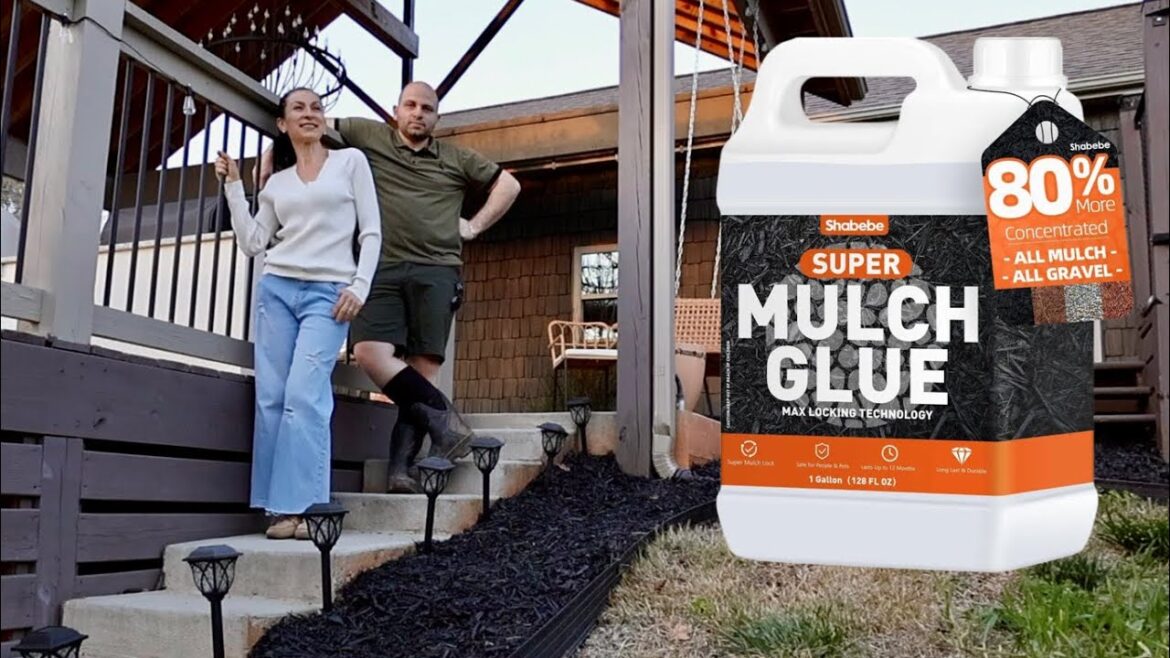 New Outdoor Landscaping Project | Shabebe Super Mulch Glue | Heghineh New Outdoor Landscaping Project | Shabebe Super Mulch Glue | Heghineh