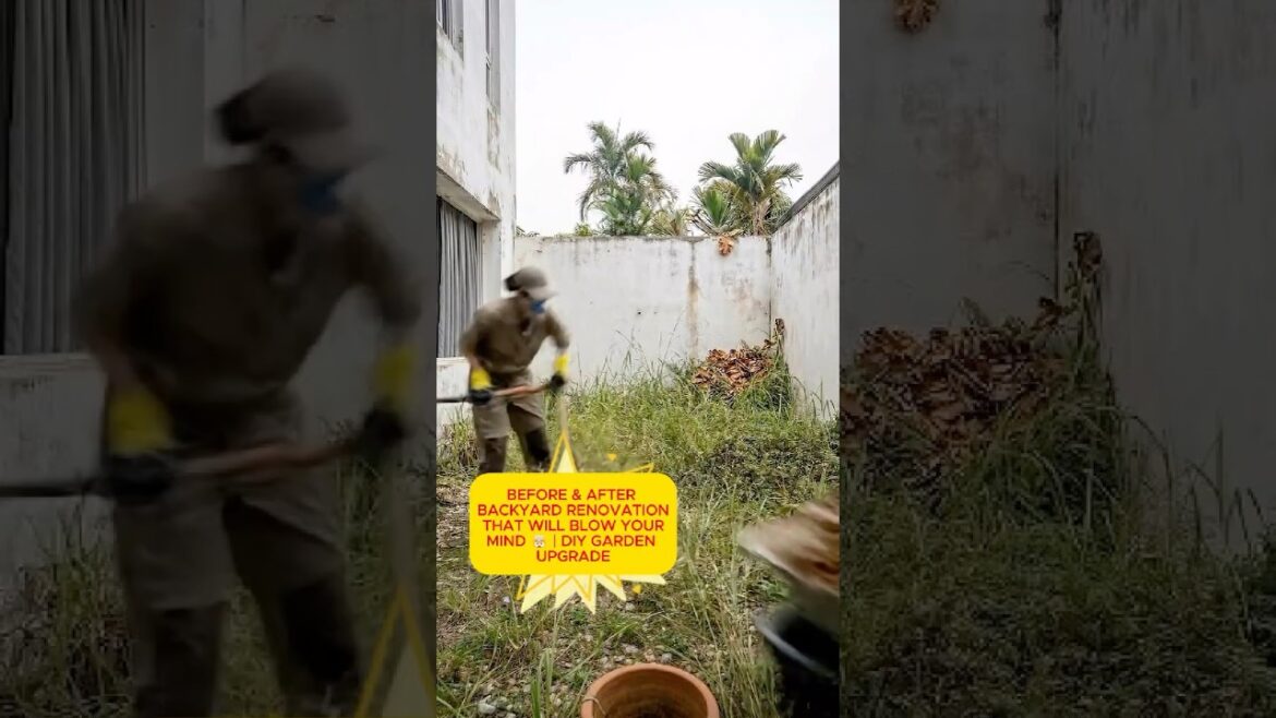 Before-After Backyard Renovation That Will Blow Your Mind🤯DIY Garden Upgrade #shorts #construction Before-After Backyard Renovation That Will Blow Your Mind🤯DIY Garden Upgrade #shorts #construction