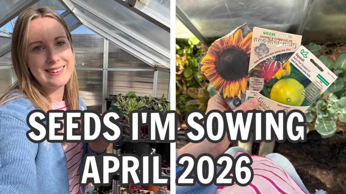 SEEDS TO SOW IN APRIL 2026 / ALLOTMENT GARDENING UK SEEDS TO SOW IN APRIL 2026 / ALLOTMENT GARDENING UK