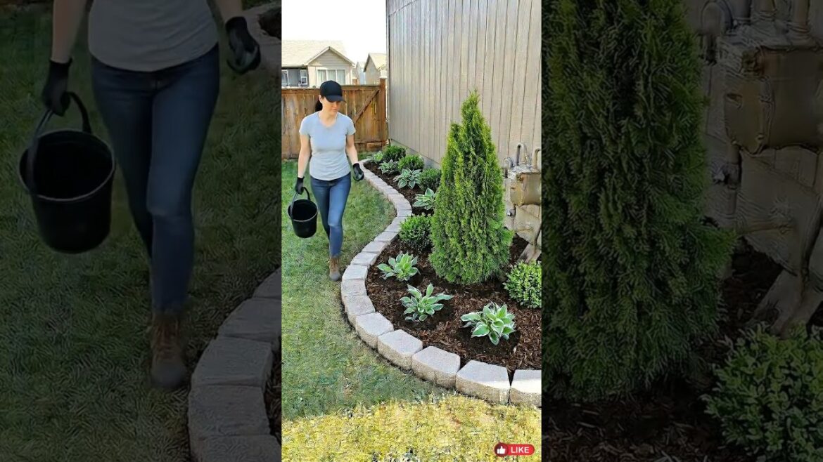 Small Backyard Garden Makeover | From Plain Grass to Stunning Garden #viral #homegarden #home Small Backyard Garden Makeover | From Plain Grass to Stunning Garden #viral #homegarden #home