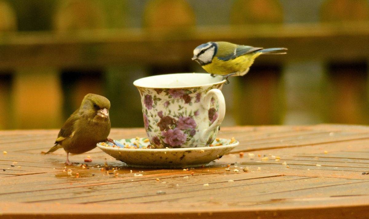 Picture of a mug on a table 