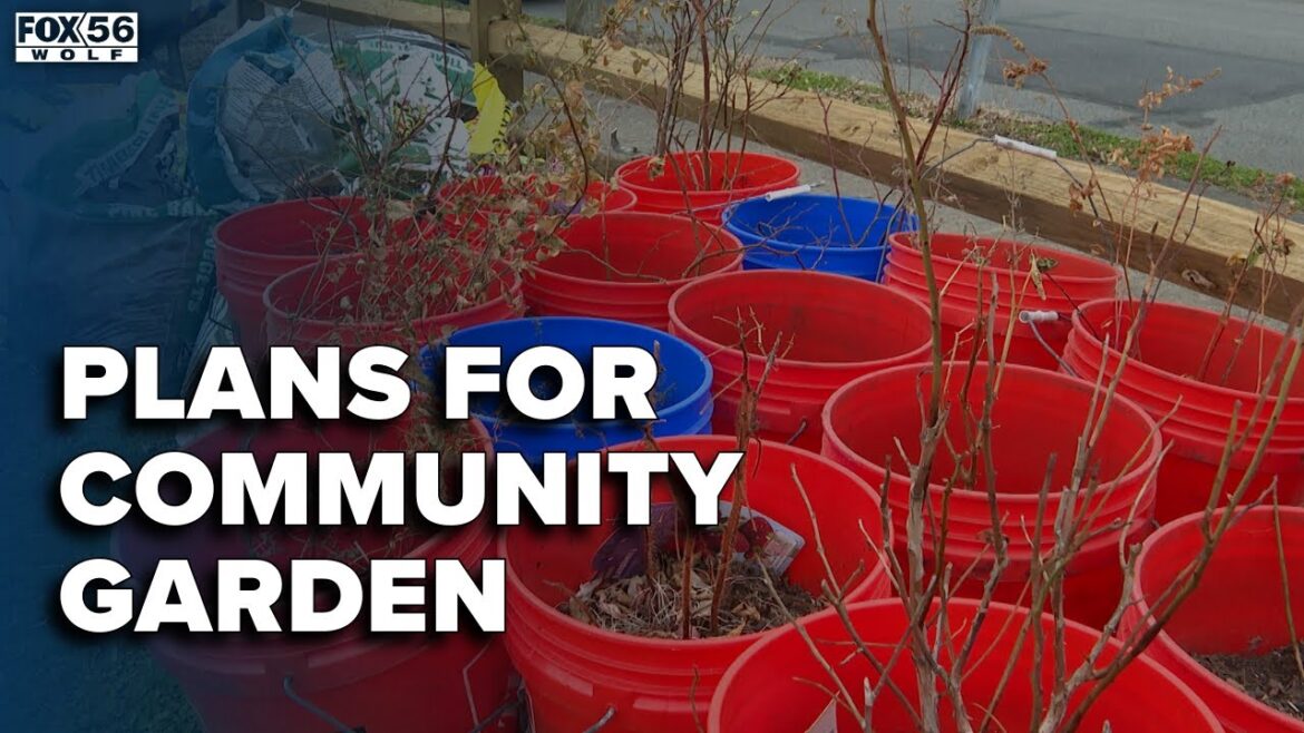 New community garden in Kingston takes root, plans to open in weeks