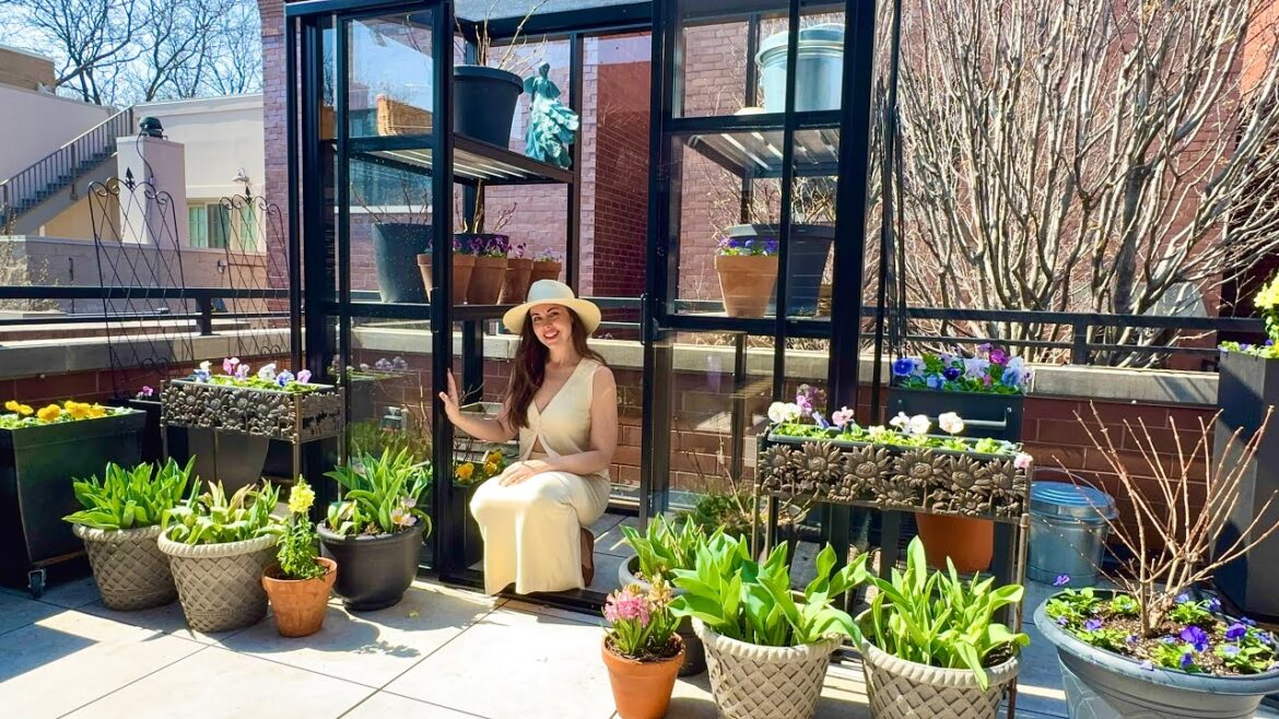 Spring Rooftop Garden Tour! Container Gardening Inspirationš·šŖ» Spring Rooftop Garden Tour! Container Gardening Inspirationš·šŖ»