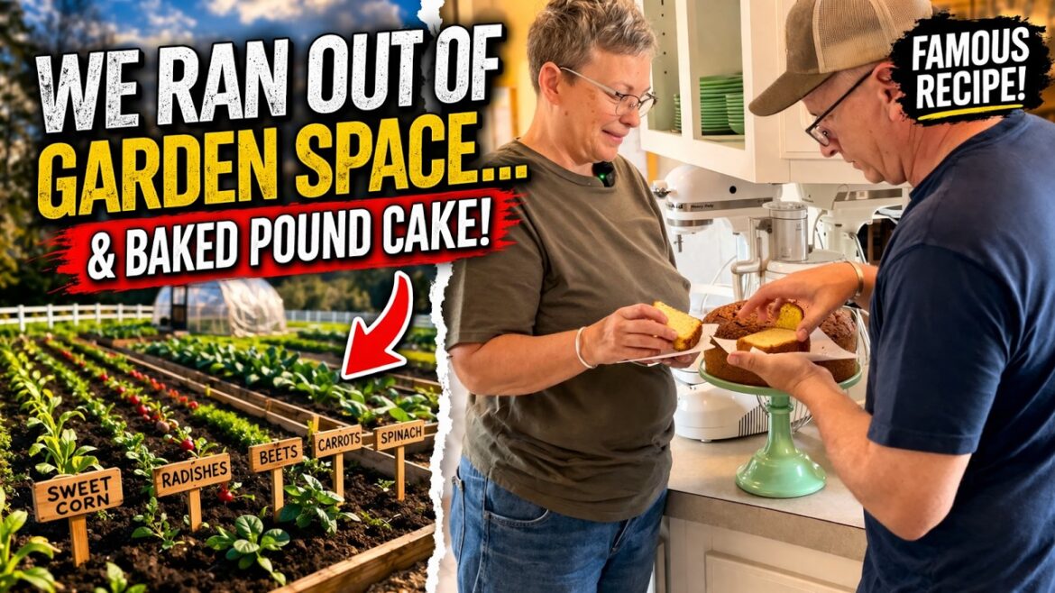 The Garden Is Full & Saundra’s Secret Pound Cake Recipe