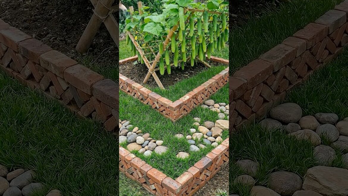 Garden Ideas 🌿 | Genius Cucumber Trellis for Small Gardens 🥒