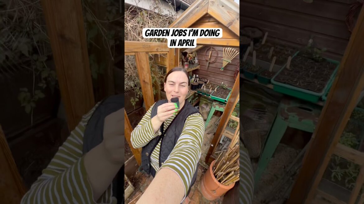 Garden jobs I’m doing in April #newbuildgarden #gardening #gardenjobs #gardentips