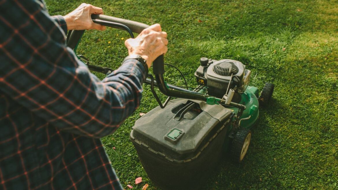 UK gardeners urged to mow less or stop cutting grass altogether in spring Daily Mirror