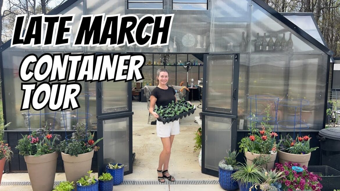 Late March Container Garden Tour