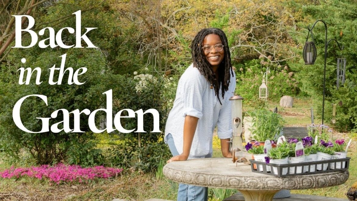 We Had Two Weeks of Spring in the Garden and Now It’s Feels Like Summer We Had Two Weeks of Spring in the Garden and Now It's Feels Like Summer